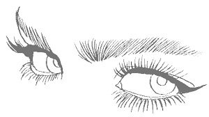 Eyelash Extensions Image