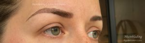 Microblading Permanent Makeup Eyebrows Southfield MI