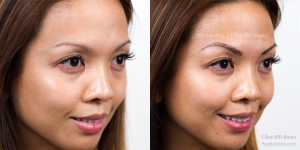 Permanent Makeup Eyebrows Microblading Southfield Michigan