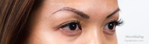 Permanent Makeup Eyebrows in Michigan - Microblading Ultra HD Brows