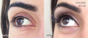 Volume Lashes | 6D