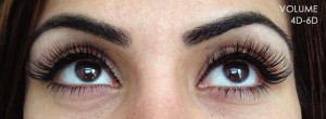 Volume Lashes | 6D