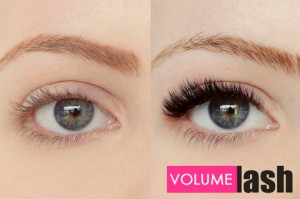 Volume Lashes | 6D