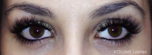 Volume Lashes | 6D